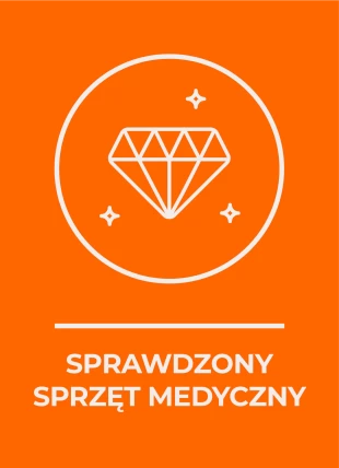 profesjonalizm